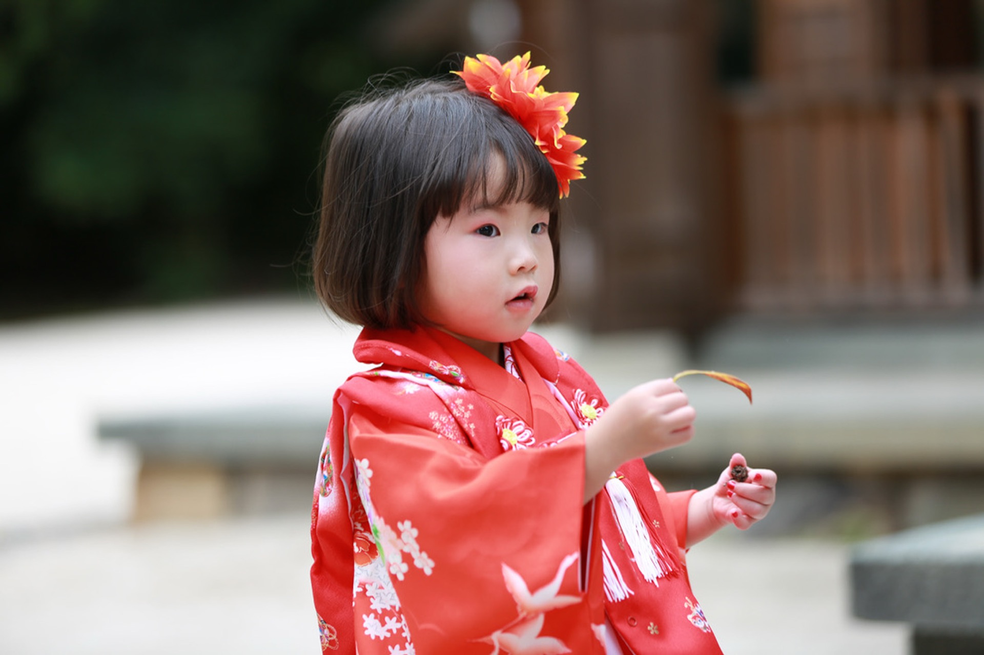 七五三・落ち葉と女の子